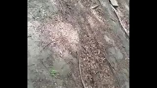 family fucking in forest