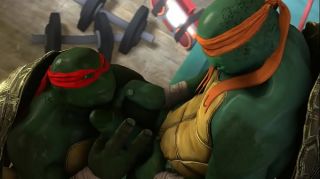 teenage mutant ninja turtles dick gay 3d