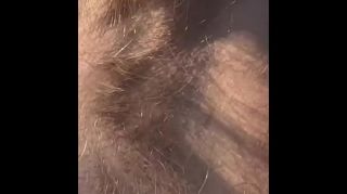 scary hairy men porn
