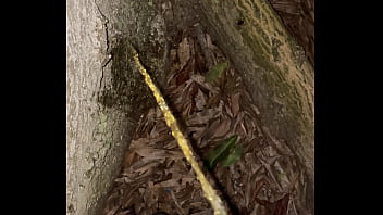 pandora public piss